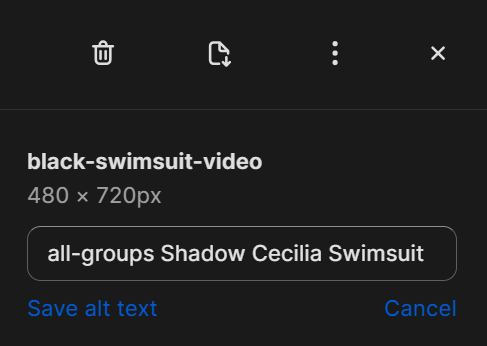 Screenshot-alt-text.png
