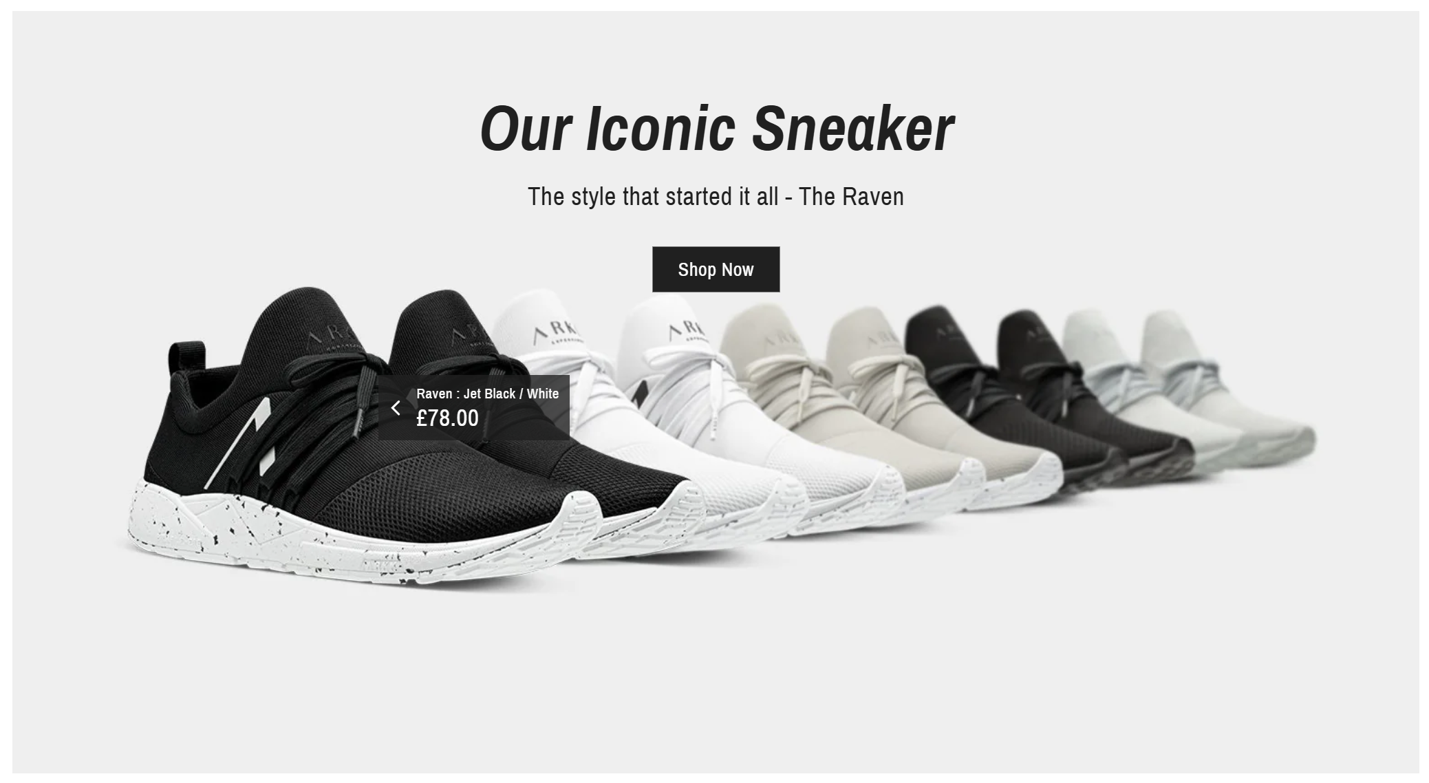 Iconic-sneaker-image-with-text.png